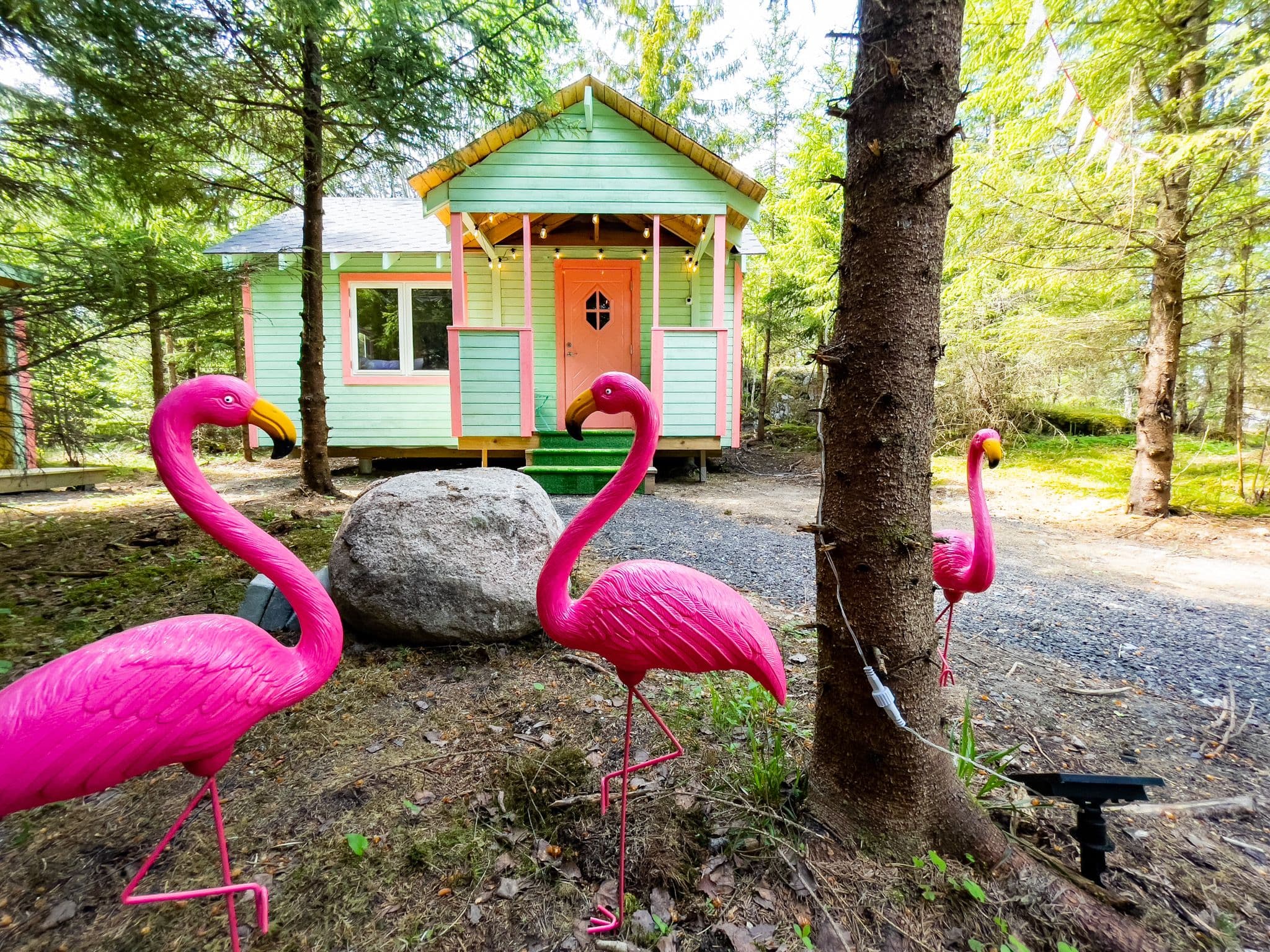 481DB205-DEBC-4307-9E1B-FDCBCBFACEAF