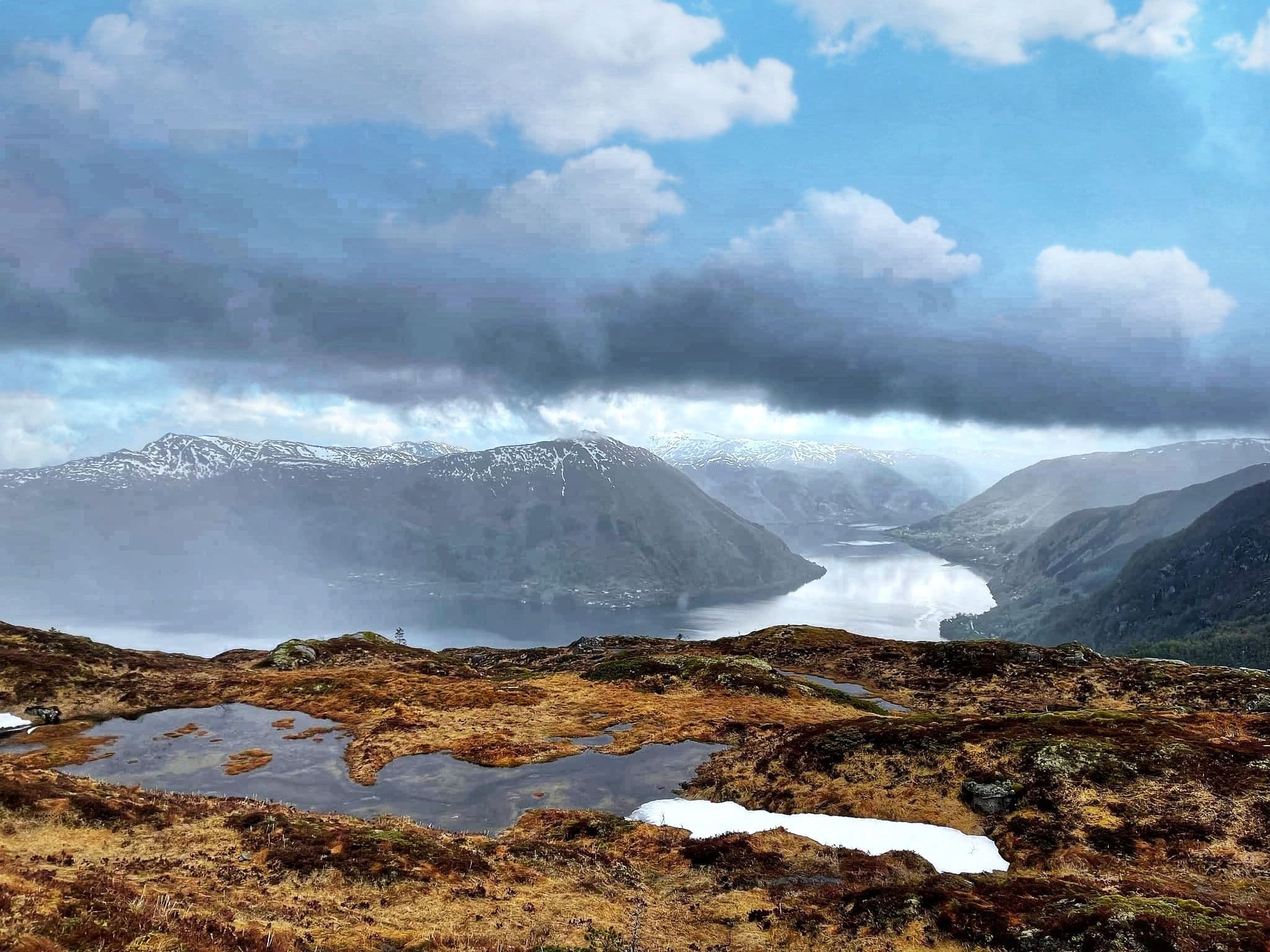 PICNIC_20220515_202438092-01